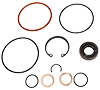 Power Steering Pump Seal And Gasket Kit